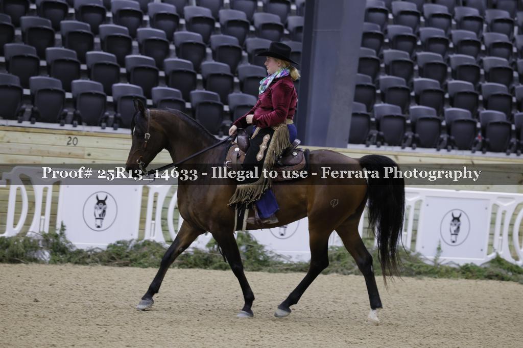 Proof 25R13_14633