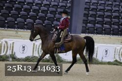 25R13_14633 proof