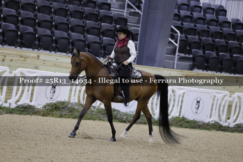 Proof 25R13_14634