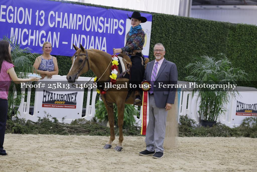 Proof 25R13_14638