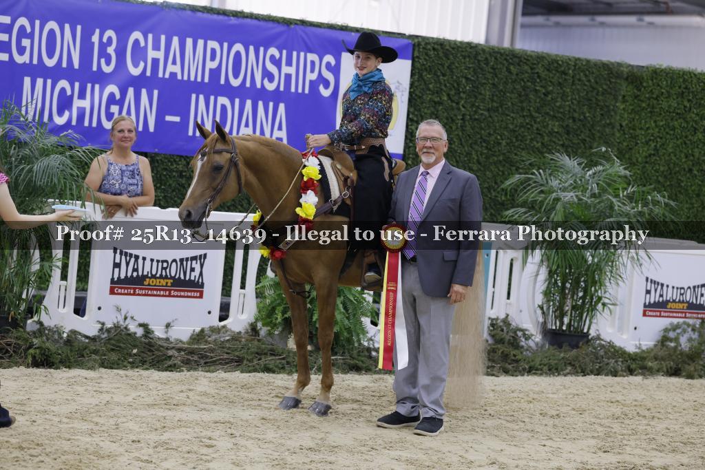 Proof 25R13_14639