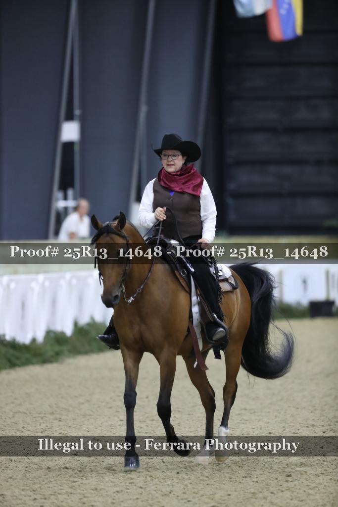 Proof 25R13_14648