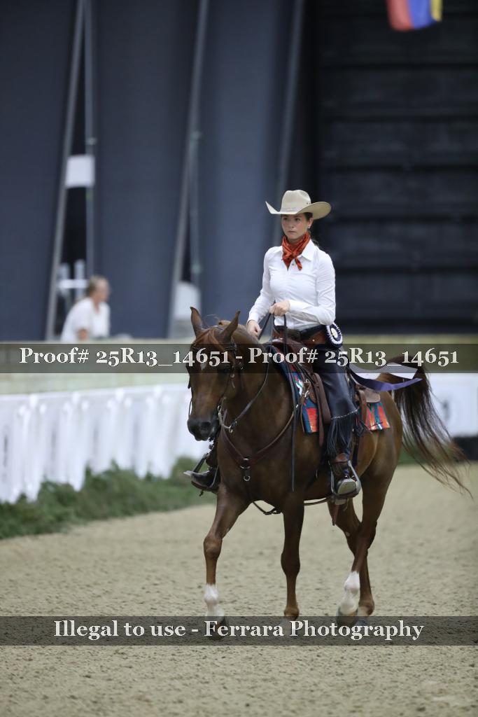 Proof 25R13_14651