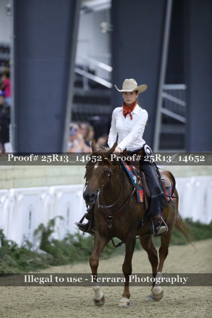 Proof 25R13_14652