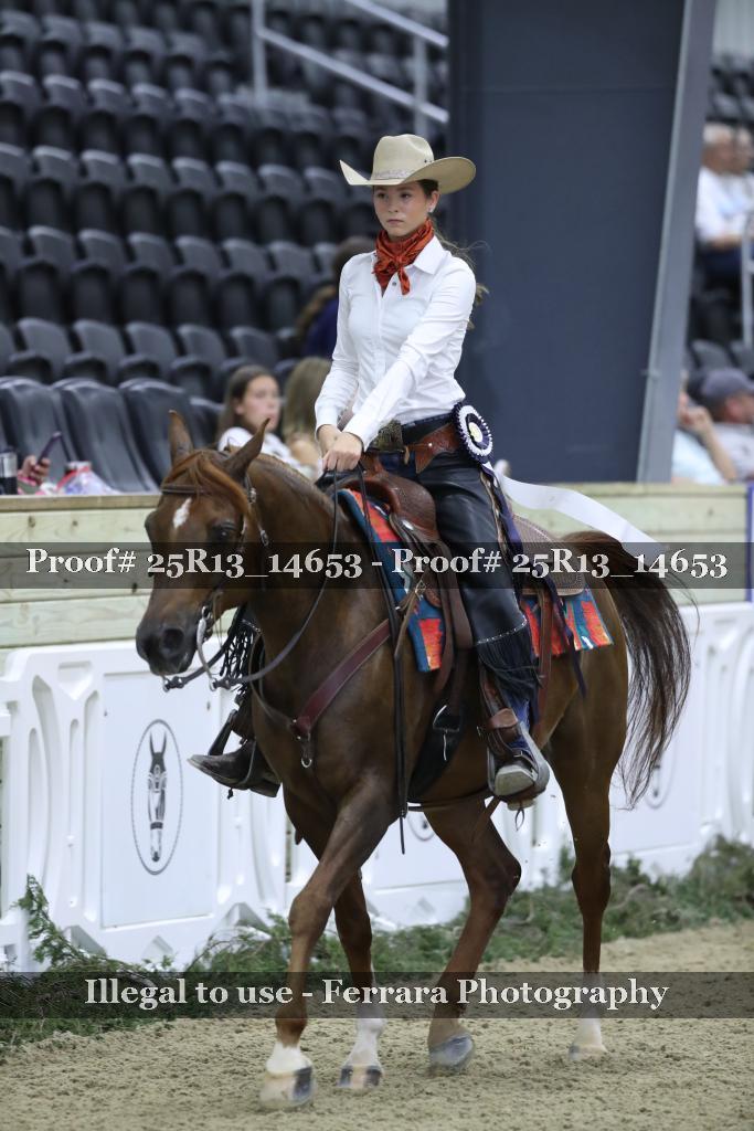 Proof 25R13_14653