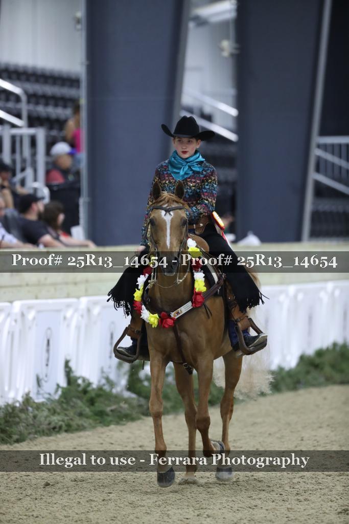 Proof 25R13_14654