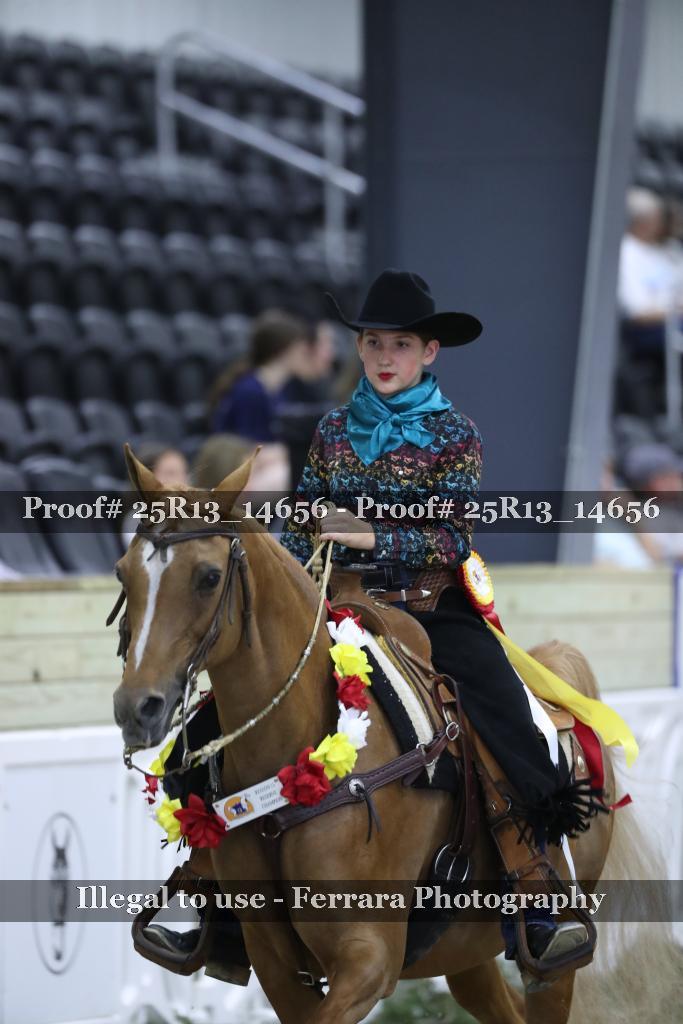Proof 25R13_14656