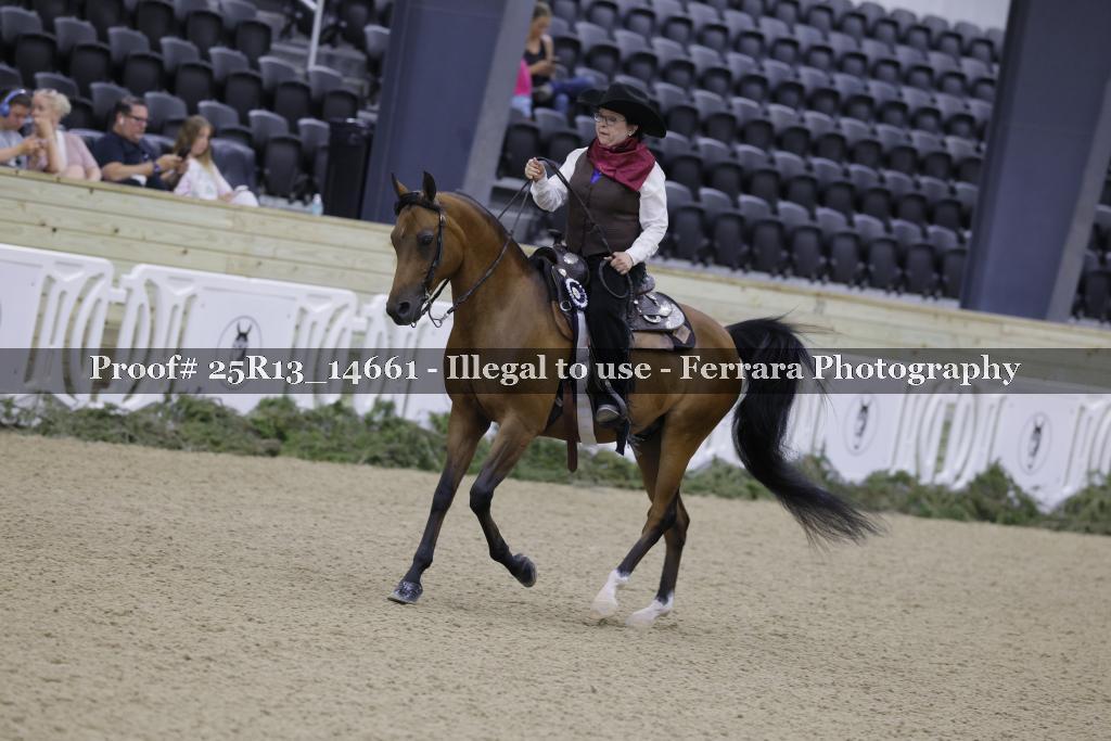 Proof 25R13_14661