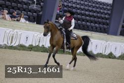 25R13_14661 proof