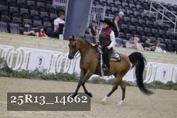 25R13_14662 proof