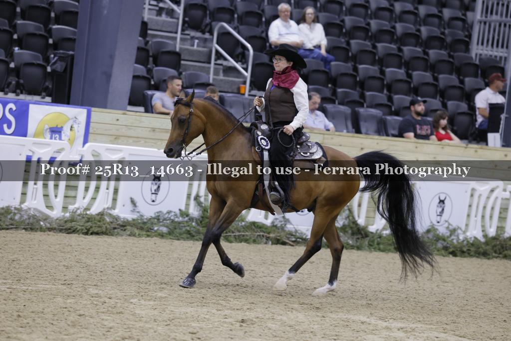 Proof 25R13_14663