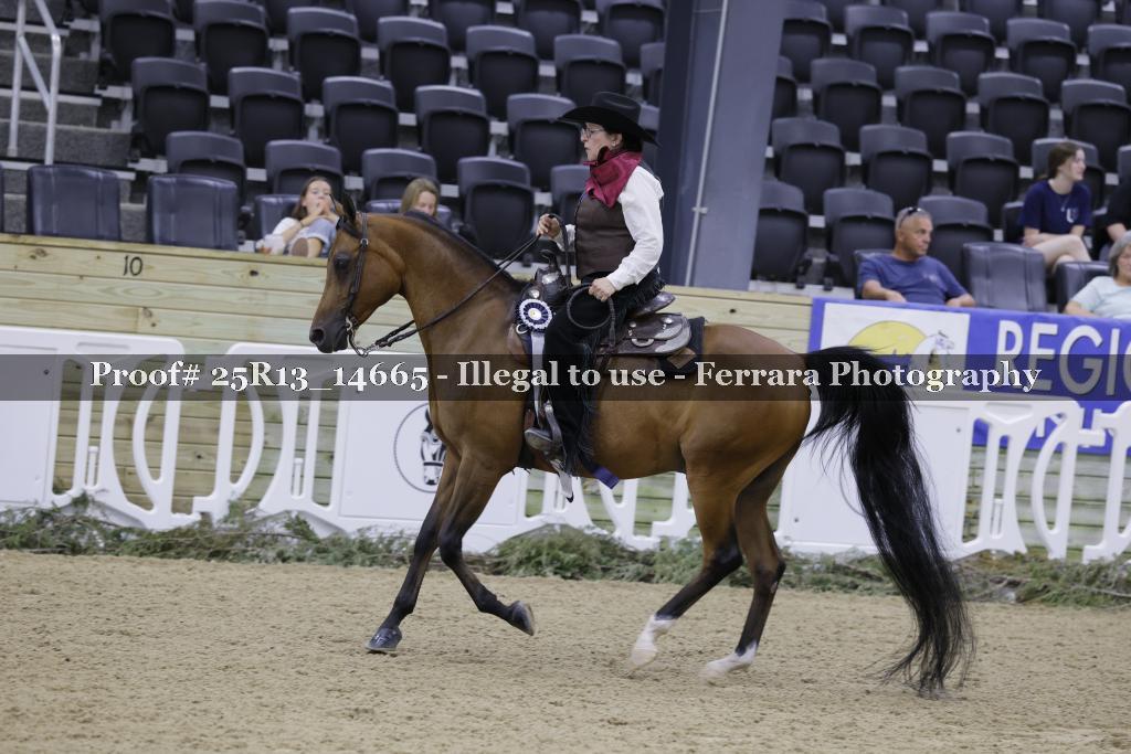 Proof 25R13_14665