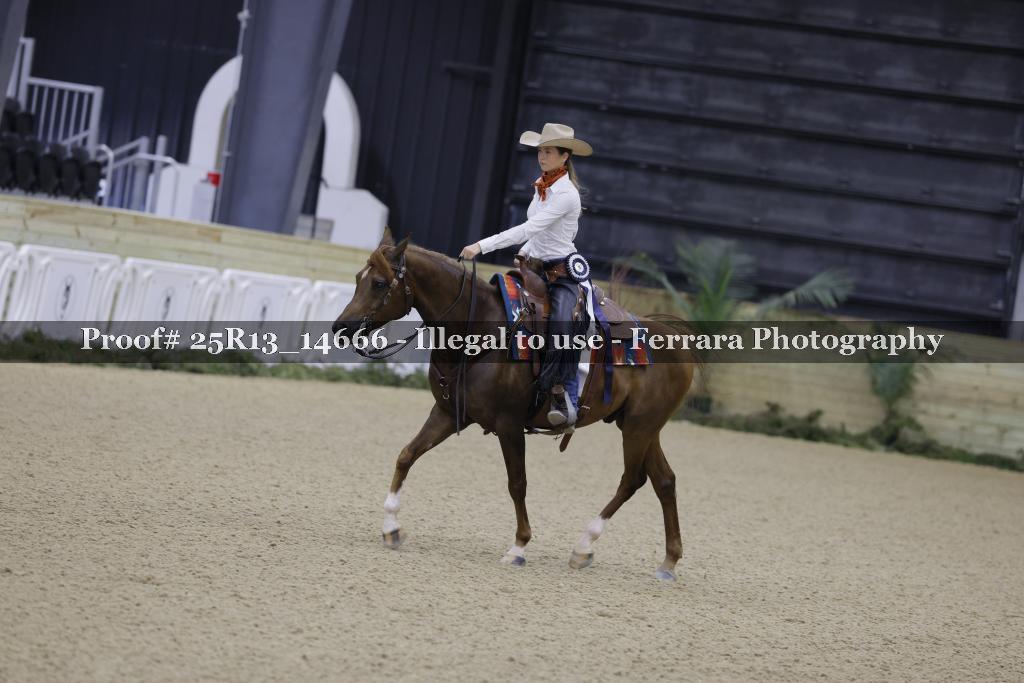 Proof 25R13_14666