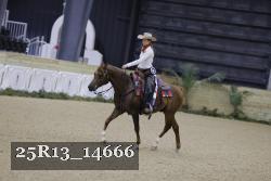 25R13_14666 proof