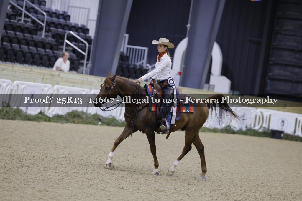Proof 25R13_14667