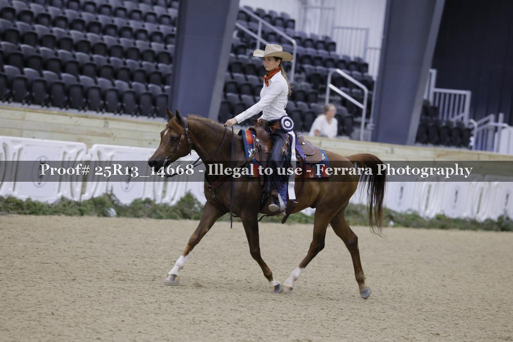 Proof 25R13_14668