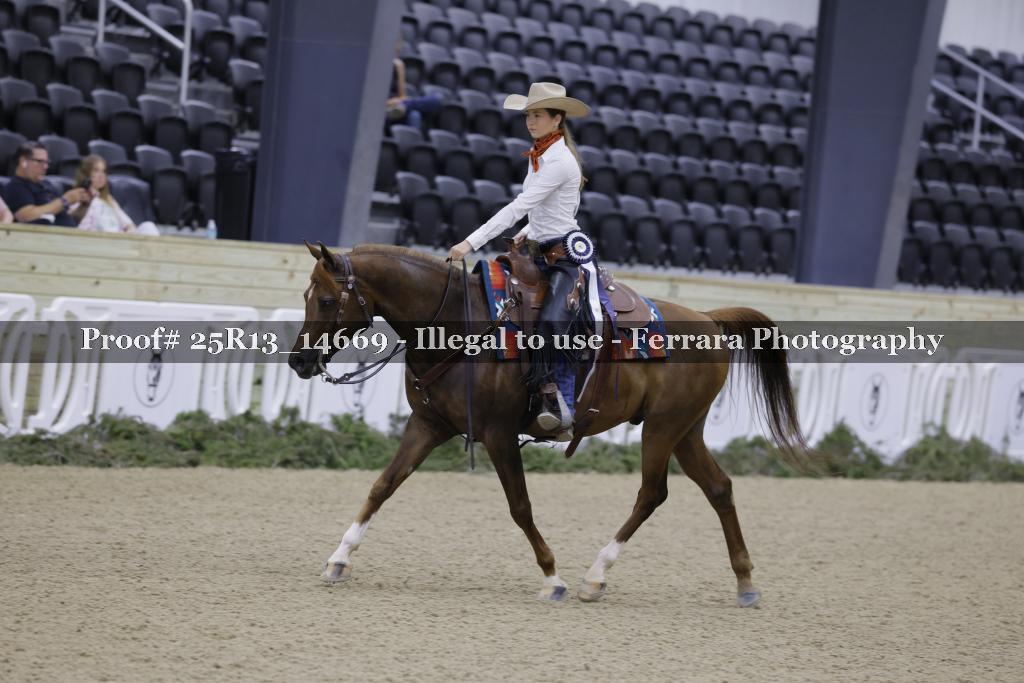 Proof 25R13_14669