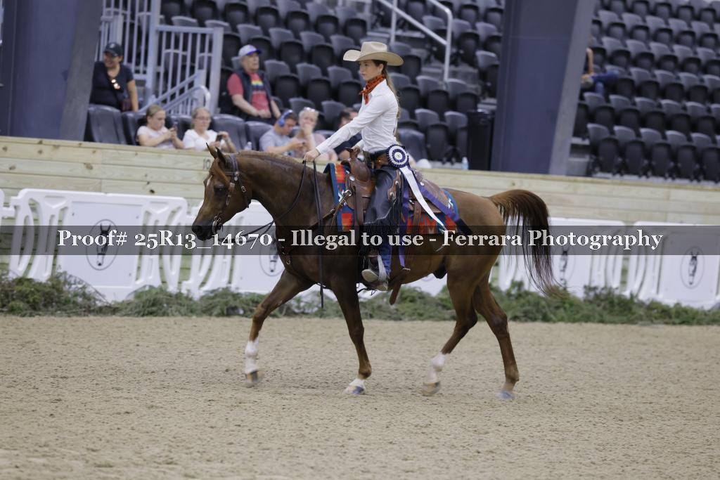 Proof 25R13_14670