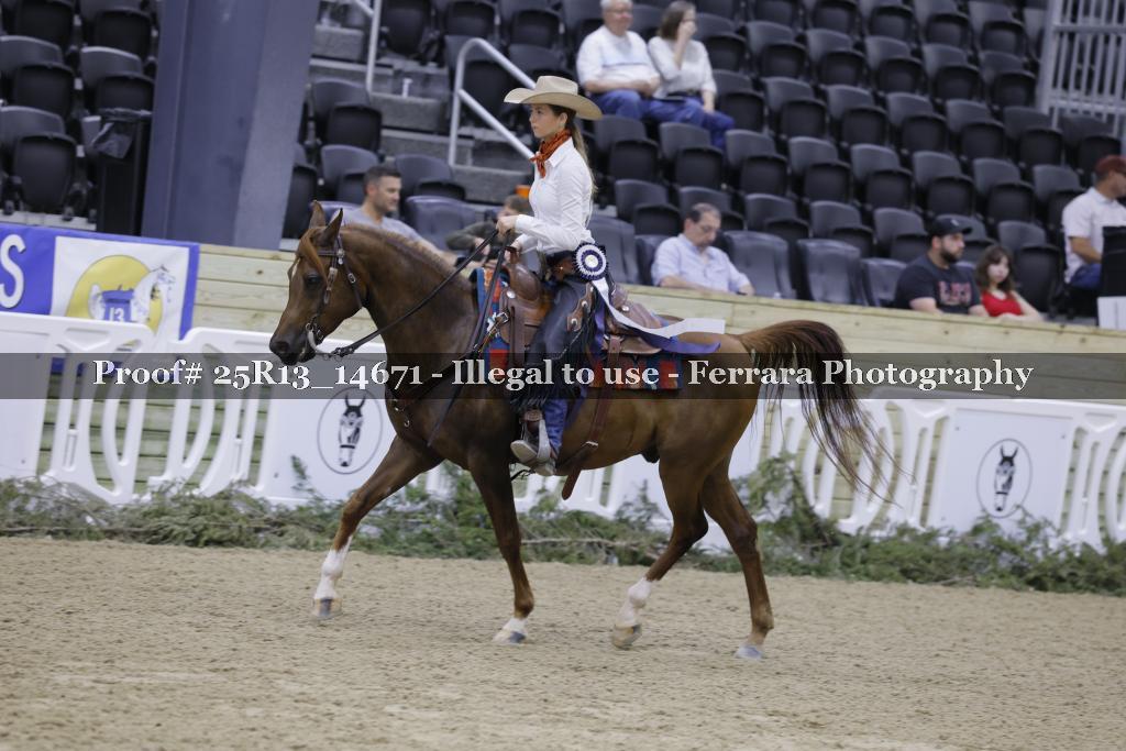 Proof 25R13_14671
