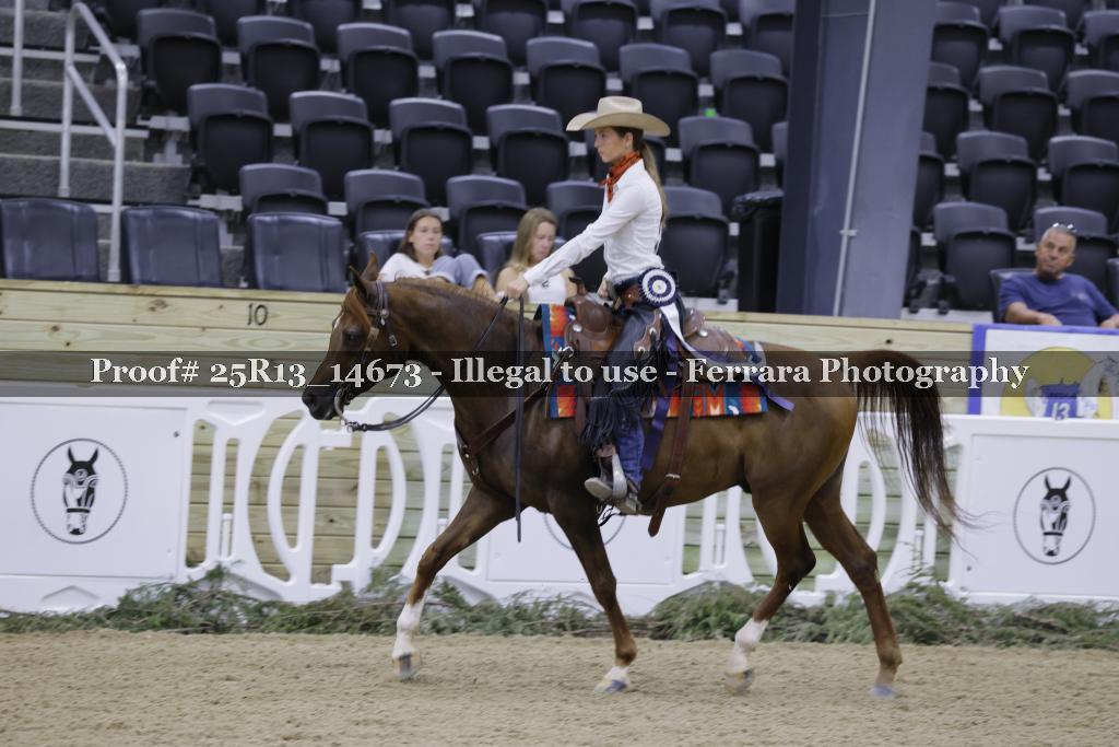 Proof 25R13_14673