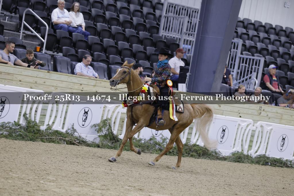 Proof 25R13_14674