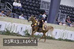 25R13_14674 proof