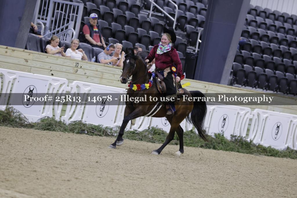 Proof 25R13_14678
