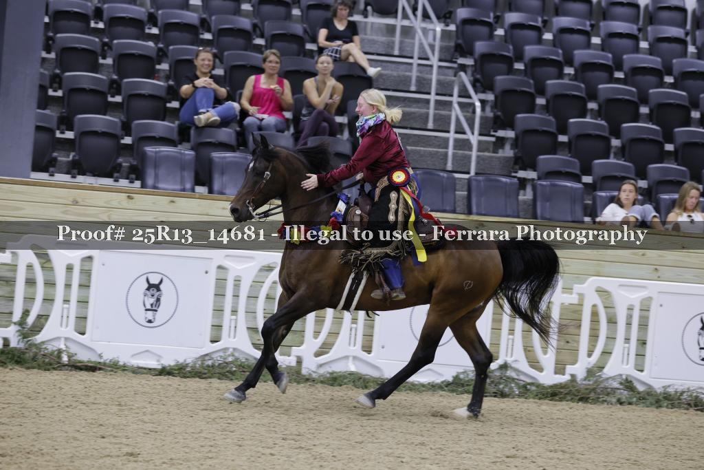 Proof 25R13_14681
