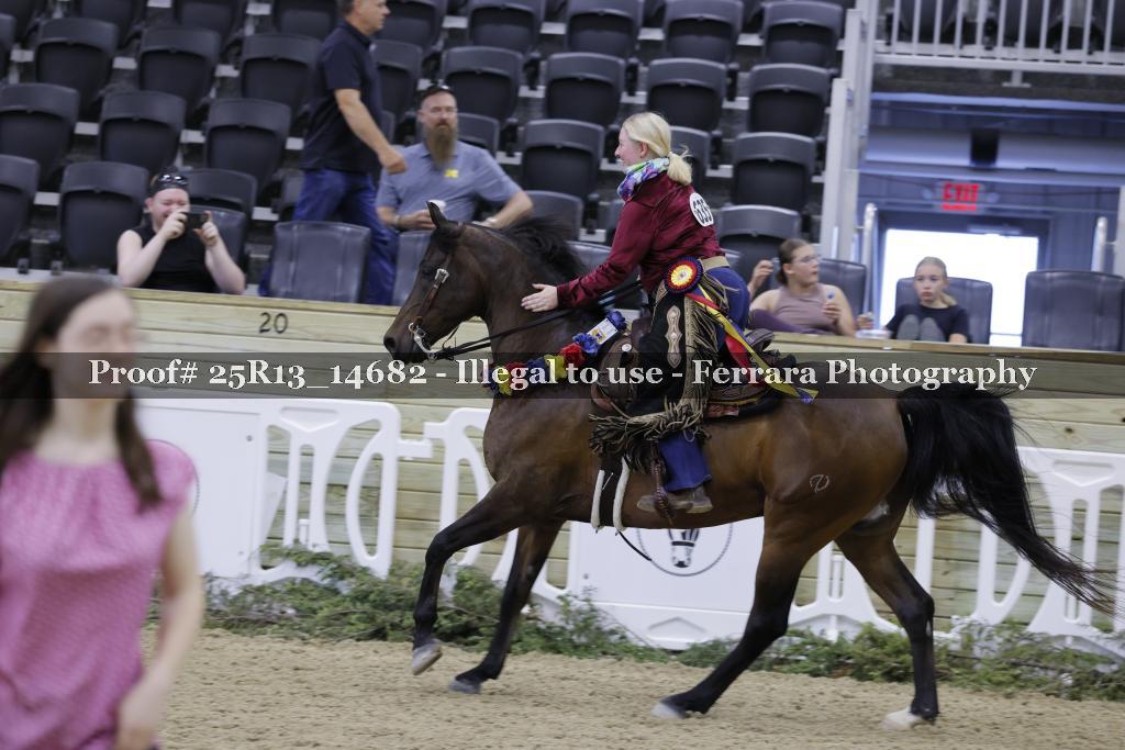 Proof 25R13_14682