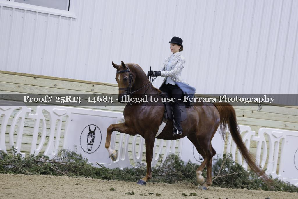 Proof 25R13_14683