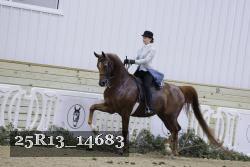25R13_14683 proof
