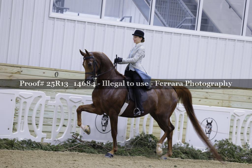 Proof 25R13_14684