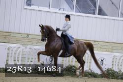 25R13_14684 proof