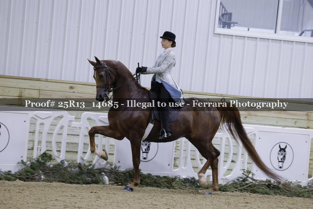 Proof 25R13_14685
