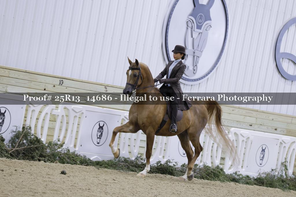 Proof 25R13_14686