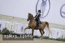 25R13_14686 proof