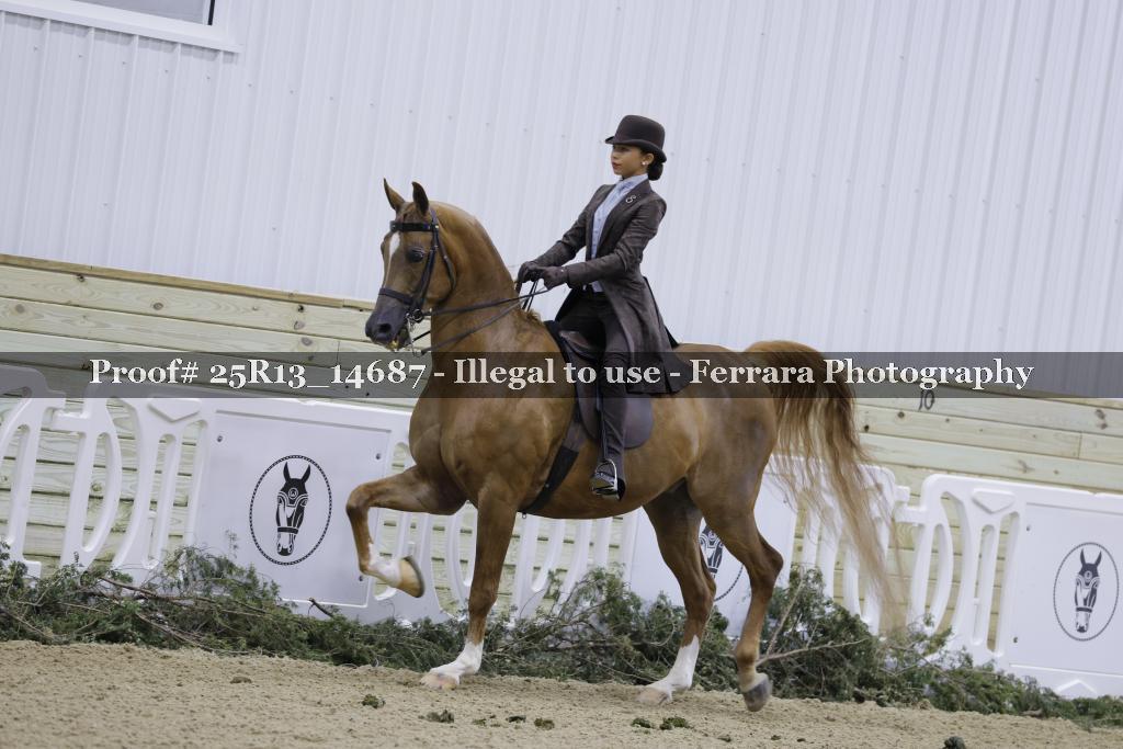 Proof 25R13_14687
