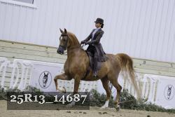 25R13_14687 proof