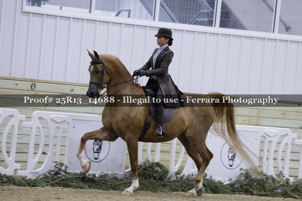Proof 25R13_14688