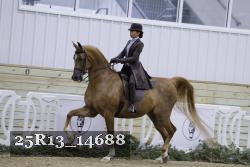 25R13_14688 proof