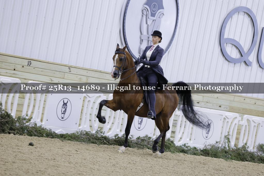 Proof 25R13_14689