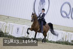 25R13_14689 proof