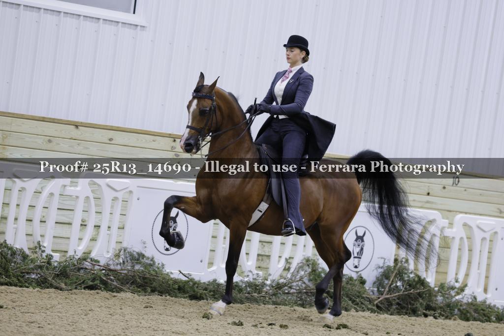 Proof 25R13_14690