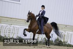 25R13_14690 proof
