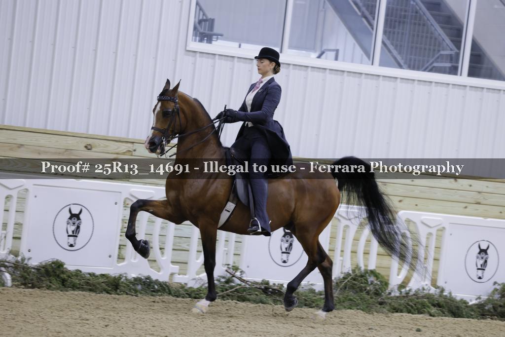 Proof 25R13_14691