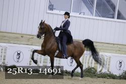 25R13_14691 proof
