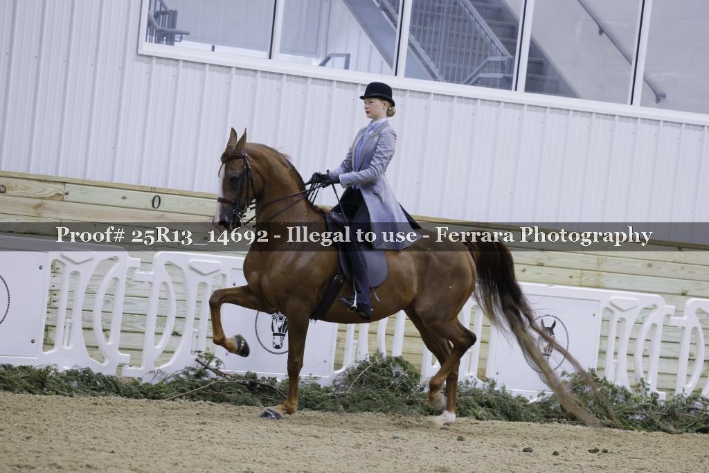 Proof 25R13_14692