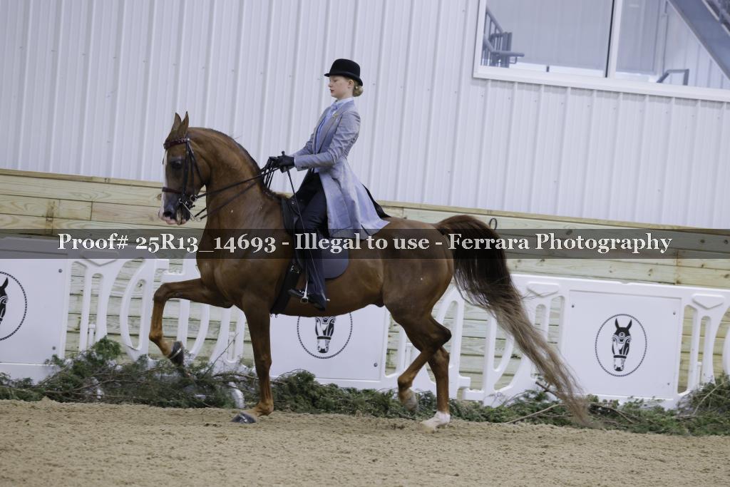 Proof 25R13_14693