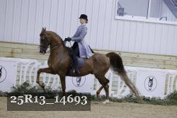 25R13_14693 proof