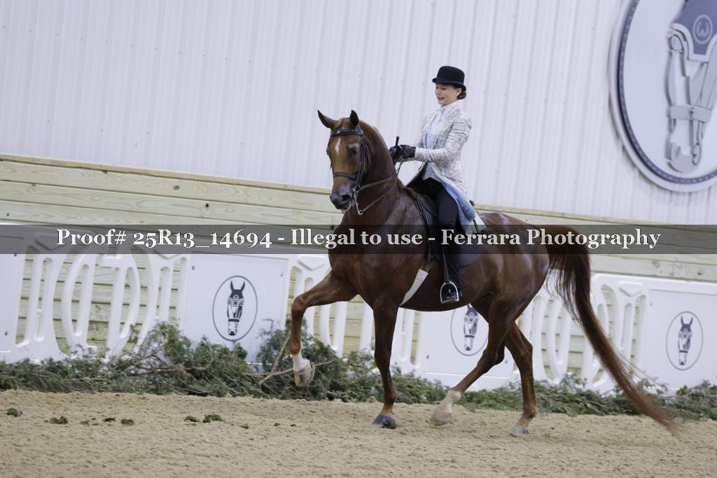Proof 25R13_14694